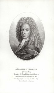 Sebastien Vaillant tekijältä French School