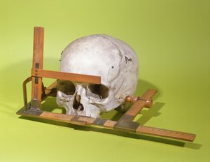 Paul Brocan (1824-88) rakentama kallo kasvojen goniometrissä (puu ja kupari)