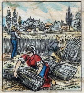Tekstiilit, pellava: maatalous. Kerää liinavaatteet, jotka kootaan saappaan kuiviksi. Kaiverrus. Epinaalinen kuvantaminen 1800-luvun lopulla. tekijältä French School