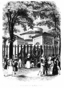 Elefanttirotunda Pariisin kasvipuutarhasta - kaiverrus tekijältä French School