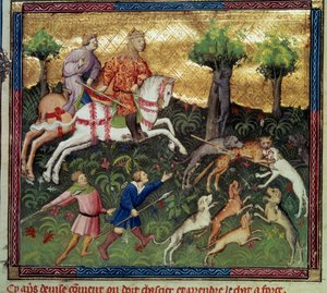 Villikissan metsästys Miniatyyri otettu "Metsästyksen kirjasta", jonka on kirjoittanut Gaston III Phoebus, Foixin kreivi, Lord of Bearn (1331-1391) tekijältä French School