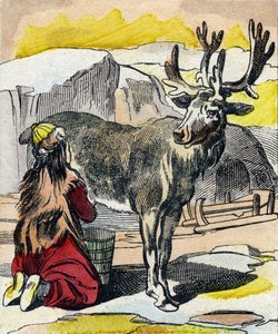 Poroa lypsätään. Kaiverrus "Buffon Alphabet des Animaux". 3. sarja N 1. Epinal, Epinal, 1800-luvun loppu. Kuvaus. 16 sivua. Mitat: 28x21cm tekijältä French School