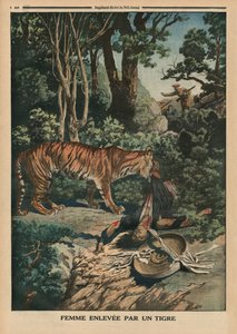 Tiikeri hyökkää naisen kimppuun, takakannen kuvitus Le Petit Journalin kuvaliitteestä, 15. maaliskuuta 1914. tekijältä French School