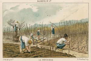 Huonekalut ja erilaiset esineet 1100- ja 1300-luvuilta tekijältä French School