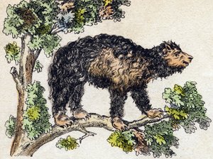 Unau (laiska). Kaiverrus "" Alphabet des animaux sauvages"". 9. sarja. Kuvia Epinalista, Pellerin, paino-kustantaja, noin 1870. Kaiverrukset puuhun, stenciloitu. 16 sivua. Mitat: 20 x 15 cm. Yksityinen kokoelma tekijältä French School