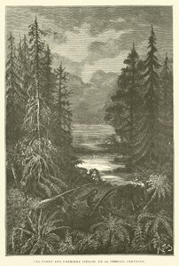 Metsä liitukauden ensimmäisillä vuosisatoilla (kaiverrus) tekijältä French School