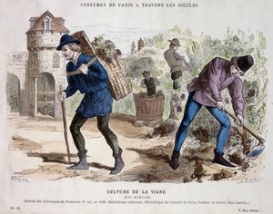 Viiniköynnöskulttuuri 1400-luvulla - "" Costume de Parisissa vuosisatojen ajan"" tekijältä French School