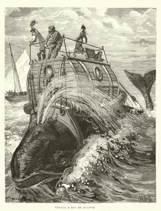 Voyage a Dos de Baleine (kaiverrus) tekijältä French School