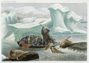 Mursun metsästys - Alfred Fredolin teoksessa Le monde de la mer, Hachette, Pariisi tekijältä French School