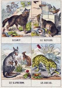 Susi; Kettu; Kenguru ; Jaguar. Kaiverrus "Buffon Alphabet des Animaux". 3. sarja N 1. Epinal, Epinal, 1800-luvun loppu. Kuvaus. 16 sivua. Mitat: 28x21cm tekijältä French School