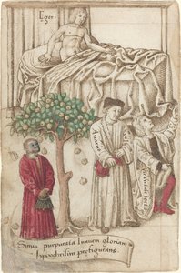 Apina purppurassa sairaan miehen, hyvän miehen ja kurjan kanssa [fol. 36 versio]
