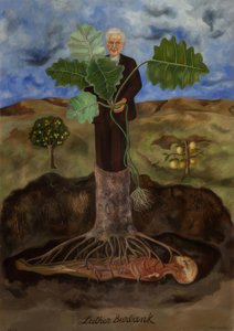 Luther Burbankin kuvaus tekijältä Frida Kahlo