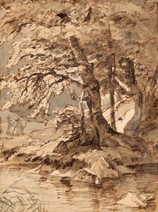 puun tutkimus tekijältä Friedrich August Mathias Gauermann