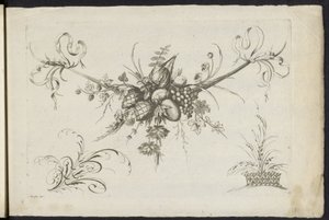 Festool van vruchten, bladeren en bloemen Erilainen uusi kukkien ja hedelmien juhla (sarjan nimi) tekijältä Friedrich Jacob Morisson