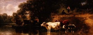 Nautakarjan juottamista metsäisessä maisemassa