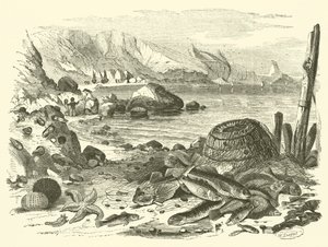 Kalastus (kaiverrus) tekijältä Friedrich Specht