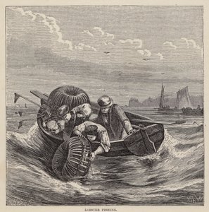 Lobster Fishing (värillinen kaiverrus) tekijältä Friedrich Specht