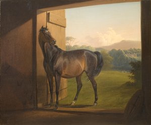 Juhlailija Mare