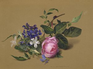 Kuoriainen ruusun oksalla tekijältä Fyodor Petrovich Tolstoy