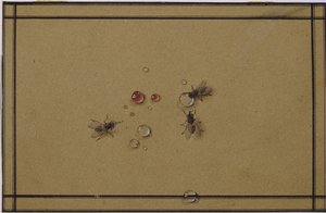 Kärpäset vesipisaroissa tekijältä Fyodor Petrovich Tolstoy