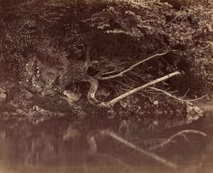 River Bank in the Vale of Neath, n. 1855. tekijältä G. B. Gething