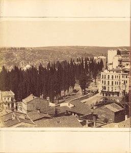 [Plate 13] tekijältä G. Berggren