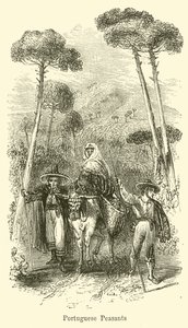 Portugalin talonpojat