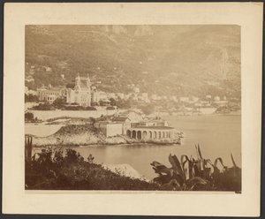 Monte Carlo kyyhkysen ammunta tekijältä G. J.