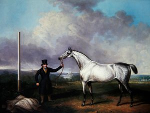 Herrasmies pitelee harmaata kilpahevosta kurssilla (öljy kankaalle) tekijältä G. Jackson