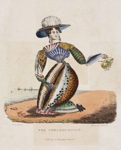 The Conchologist, n. 1831