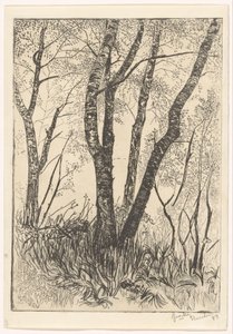 Puut korkeassa ruohossa tekijältä G. van der Mey (signed by artist)