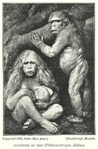 Ihmisen esi-isät, Pithecanthropus Alalus (litho)