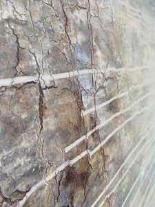  tekijältä Gabriela Aleksandra Szuba