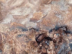  tekijältä Gabriela Aleksandra Szuba