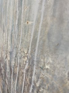  tekijältä Gabriela Aleksandra Szuba