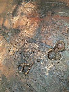  tekijältä Gabriela Aleksandra Szuba