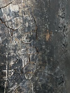  tekijältä Gabriela Aleksandra Szuba