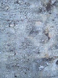  tekijältä Gabriela Aleksandra Szuba