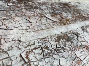  tekijältä Gabriela Aleksandra Szuba