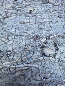  tekijältä Gabriela Aleksandra Szuba