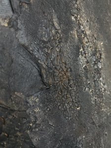  tekijältä Gabriela Aleksandra Szuba