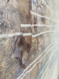  tekijältä Gabriela Aleksandra Szuba