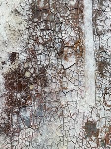  tekijältä Gabriela Aleksandra Szuba