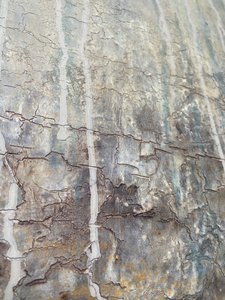  tekijältä Gabriela Aleksandra Szuba