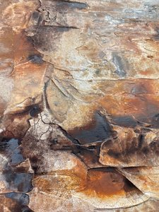  tekijältä Gabriela Aleksandra Szuba