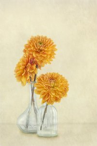 tekijältä Gaille Gray