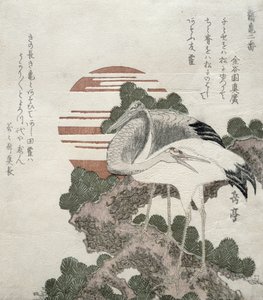 Nosturi (Tsuru) sarjasta 2, nosturit ja kilpikonnat, 1818-30 (puulohkokaiverrus)