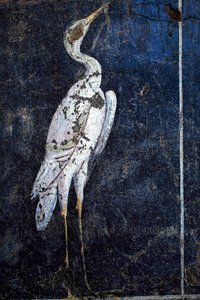 Roomalainen seinämaalaus tekijältä Gallo-Roman