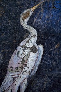 Roomalainen seinämaalaus tekijältä Gallo-Roman