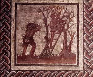 Gallo Roman Art: mosaiikkipäällyste, joka edustaa maalaismaista kalenteria. Oliivinpoimintakohtaus. 2. vuosisadan loppu, 3. vuosisadan alku JC:n jälkeen. Saint-Romain-en-Galista (Rhône). Saint Germain en Laye, kansallinen arkeologinen museo tekijältä Gallo Roman